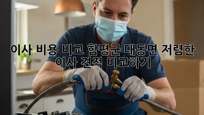 이사 비용 비교: 함평군 대동면 저렴한 이사 견적 비교하기! 🚛🏠