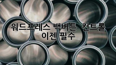 워드프레스 백버튼 🚀 컨트롤! 이젠 필수!