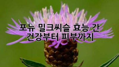 포뉴 밀크씨슬 효능: 간 건강부터 피부까지!